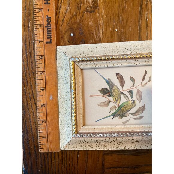 Vintage Speckled Gold Frame With Parakeet Print Art - Picture 3 of 4